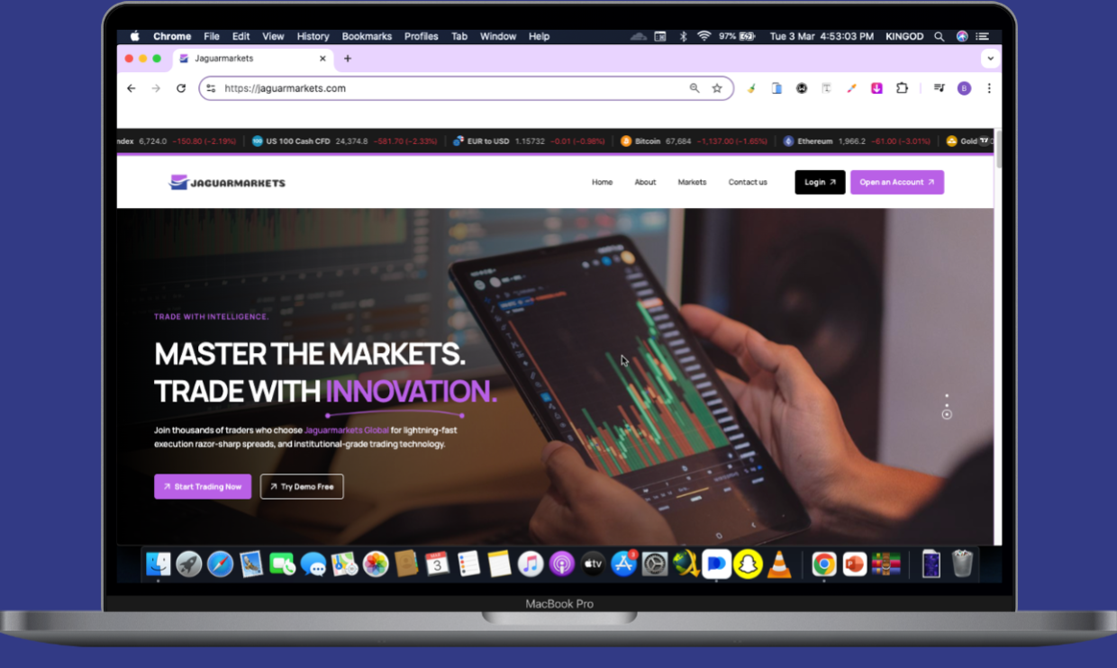 Homepage / dashboard overview screenshot